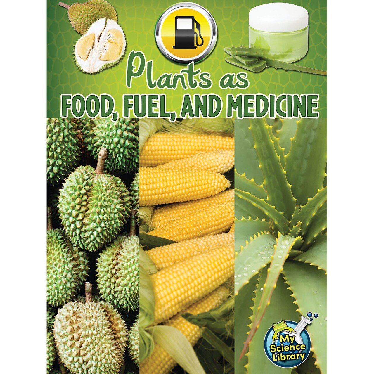 Rourke Educational Media Plants As Food, Fuel, and Medicine